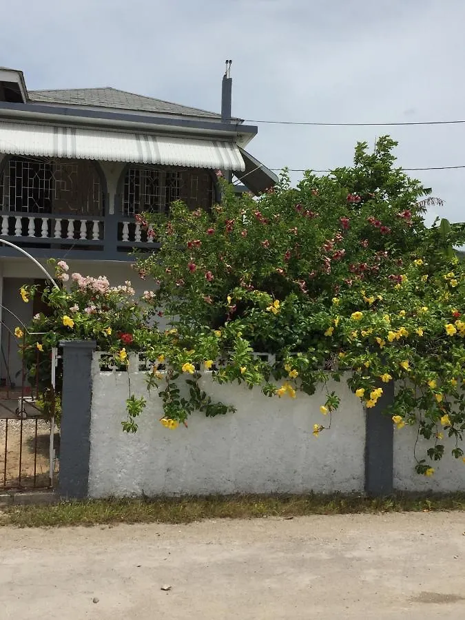 Family Stop Over Bed and Breakfast Montego Bay Jamaica